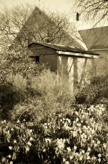 Old wooden shed surrounded by vegetation and flowers.