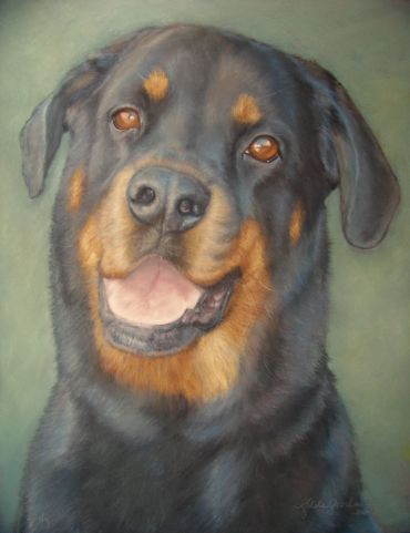 Portrait of a happy Rottweiler dog.
