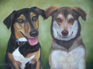 Two dogs portrait side by side.