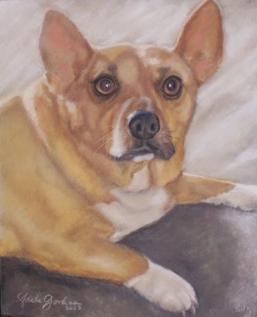 Portrait of a tan and white dog with expressive eyes.