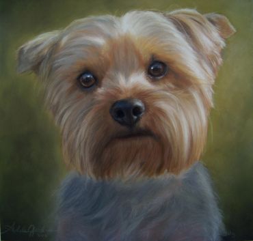 Close-up portrait of a small, fluffy dog with soulful eyes.