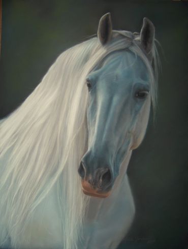 Portrait of a white horse with flowing mane.