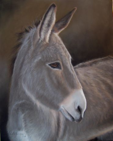 Close-up portrait of a donkey with soft lighting.