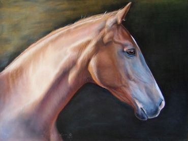 Profile of a light brown horse against a dark background.