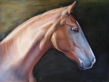 Profile of a light brown horse against a dark background.