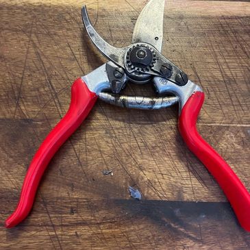 Red-handled pruning shears on a wooden surface.