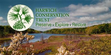 Photo of Muddy Creek, maintained by the Harwich Conservation Trust.