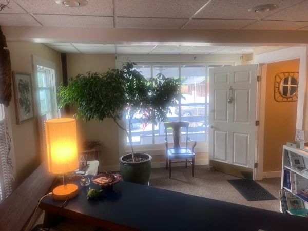 Cozy room with a large plant, chair, and lamp near an open door.