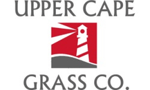 Upper Cape Grass