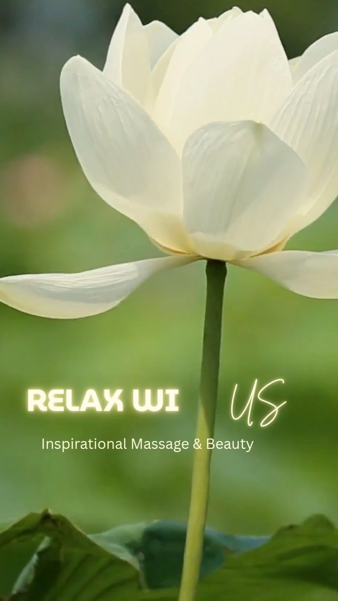 https://img1.wsimg.com/isteam/ip/4769c4c3-4f50-4778-8efa-74e56bd2ca90/thumbnails/thumbnail-d9e9728a-9676-4cd4-a458-54513e1a866e.png