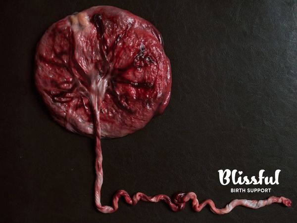 Placenta