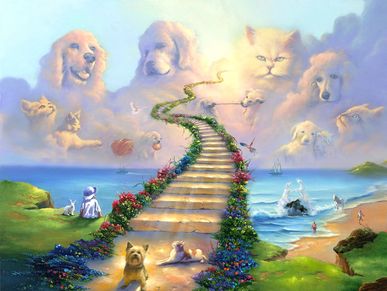 Rainbow bridge