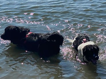 Millie and Gracie River