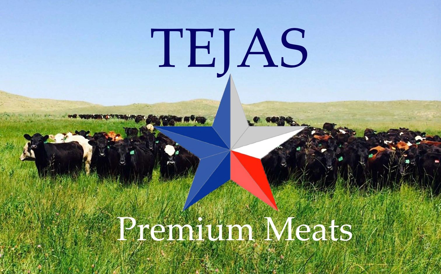 Tejas Premium Meats Custom Harvest Slaughter Beef