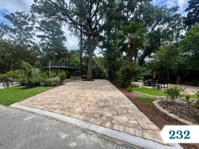 Paved driveway surrounded by trees and greenery.