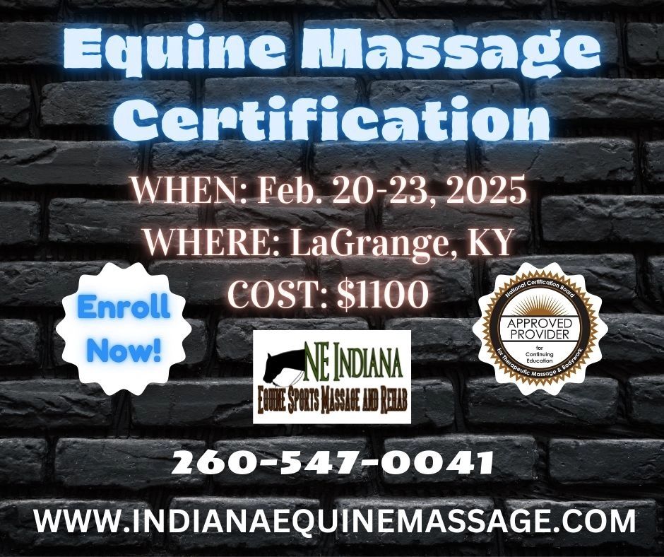 LaGrange, KY Equine Massage Certification