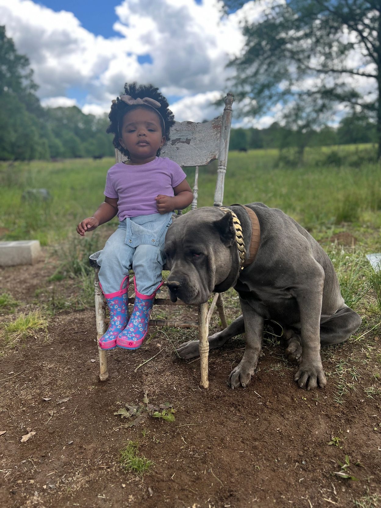 Harmony and Ampd Dynasty’s 5ive enjoying the wind on the farm! 🚜