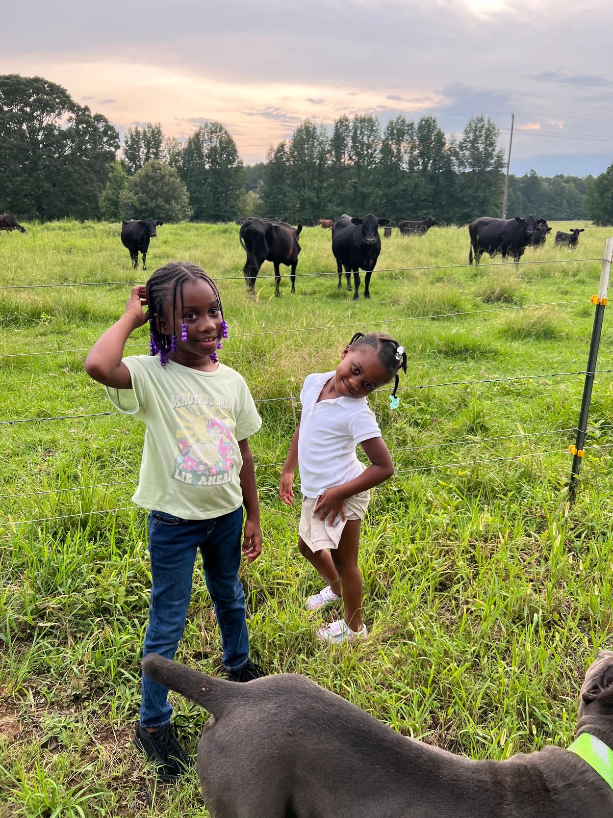 Kassidy & Kali enjoying the sun on the farm at the Dynasty! 🐄 🚜 