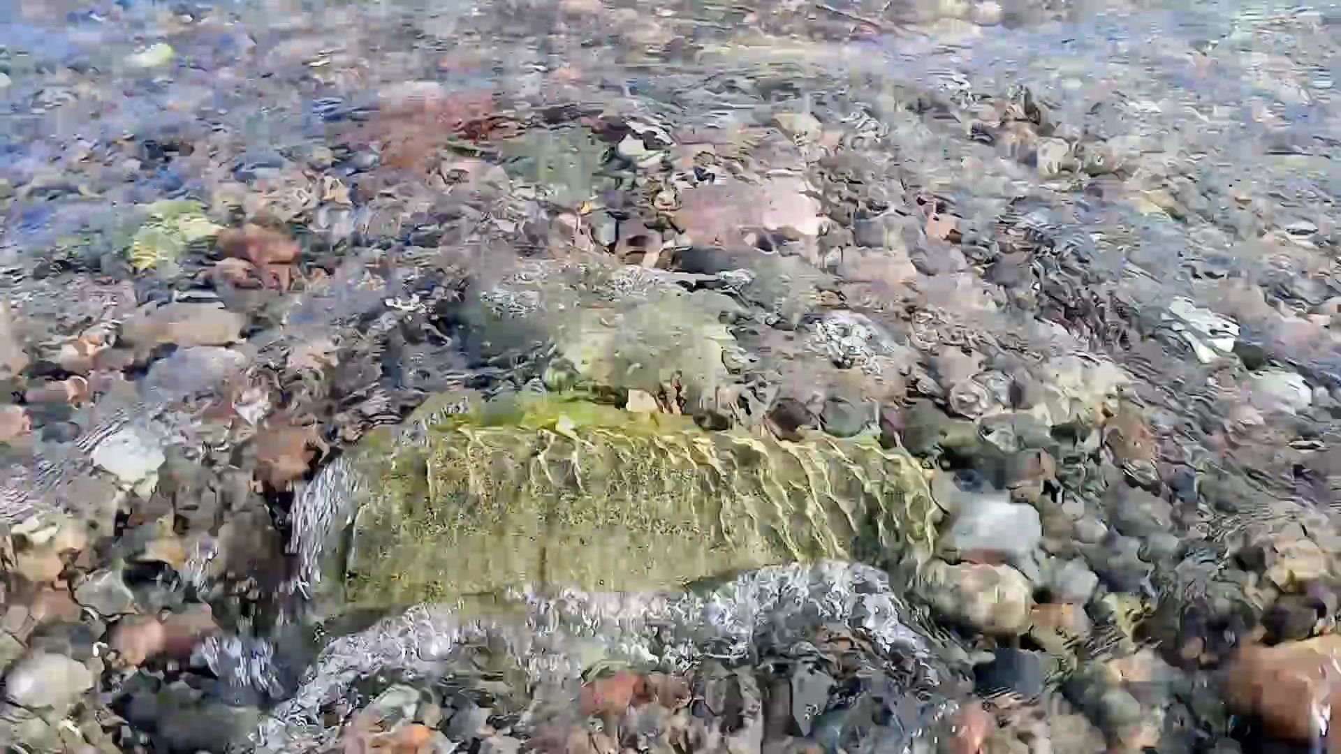 https://img1.wsimg.com/isteam/ip/478927b1-2a80-4821-bd40-79a29c743420/thumbnails/thumbnail-9c8b7fde-d4e0-48e4-8055-7a3949fbc36e.png