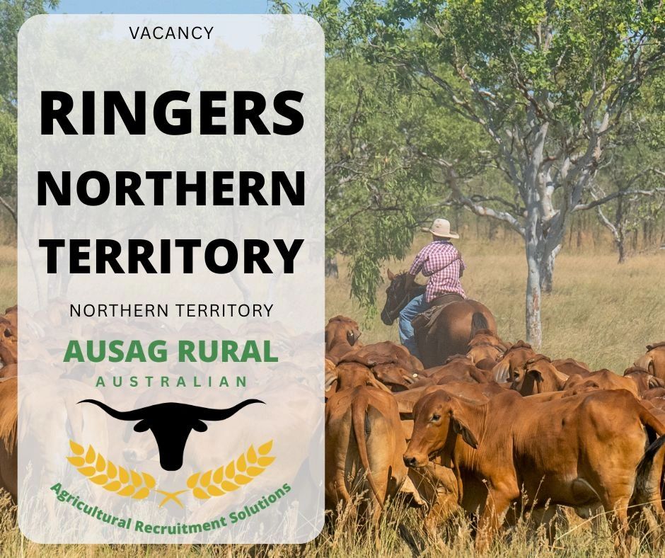 Ringers, NORTHERN TERRITORY