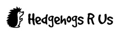 Hedgehogs R Us