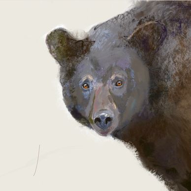 A painting about a bear