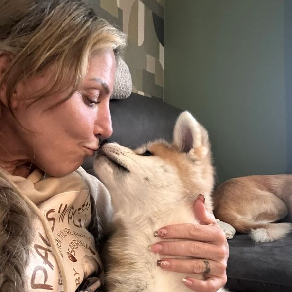 Sabrina A Professional Pet Sitter With An Akita Puppy, Paws 'n' Play Pet Sitting Services and Pet Care Nottingham