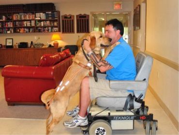 PTSD service dog training