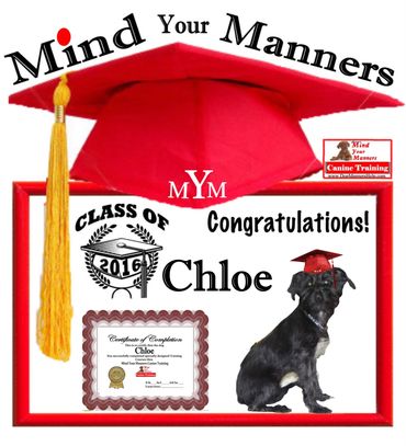 one-on-one dog training