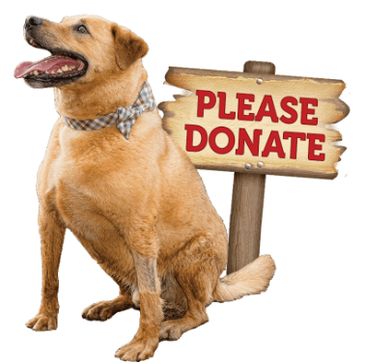 Dog sitting next to a 'Please Donate' sign.