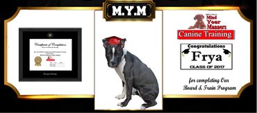 service dog training Florida