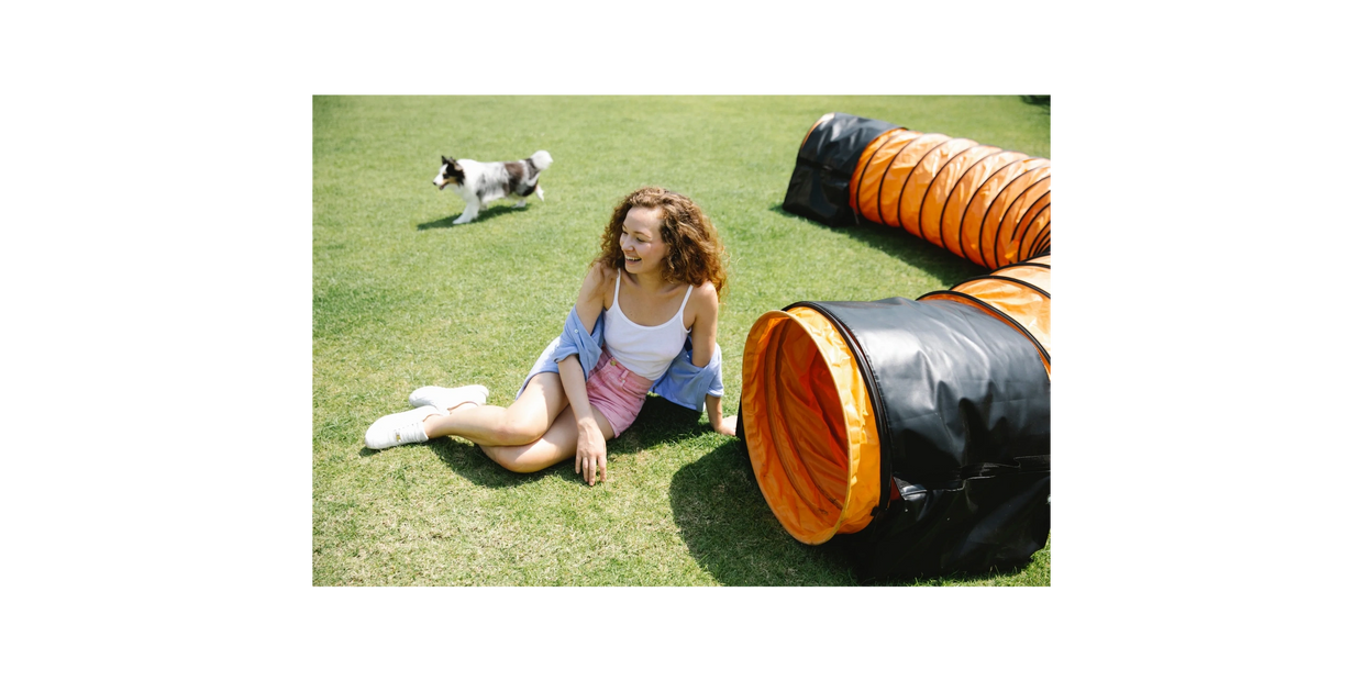 Mind Your Manners Dog Training Apprenticeship, Apprenticeship Opening