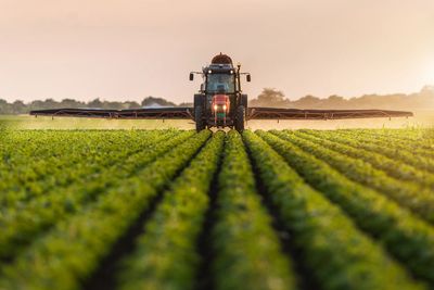 Tractor spraying pesticides on soybean field with sprayer at spring