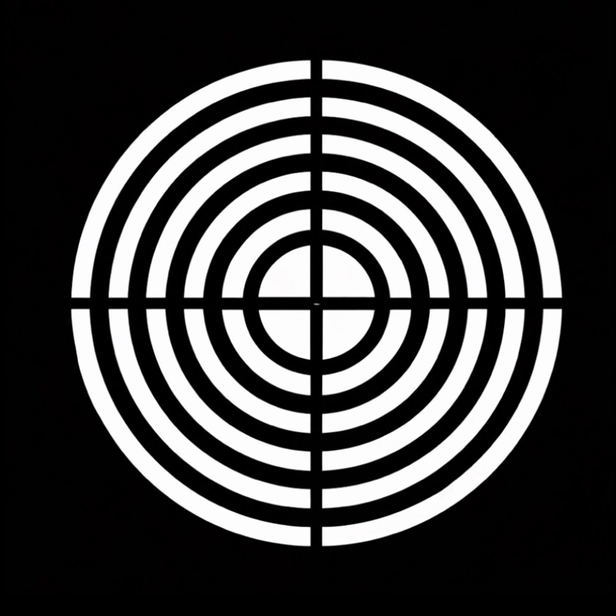 Black and white concentric circle target pattern with crosshairs.