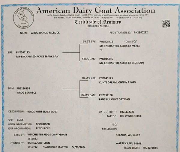 Certificate of registry for a purebred Nubian goat named WRDG Rancid McBuck.