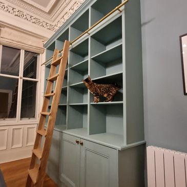 A cat admiring a bespoke built bookcase with a solid oak ladder