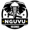 Nguvu Holdings