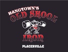 Hangtowns Old Skool Iron Gym & MMA