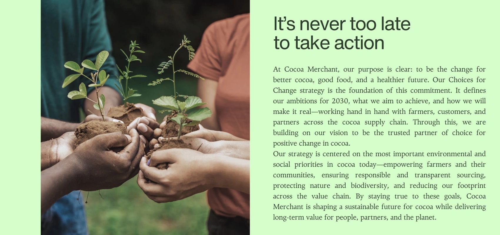 Cocoa Powder Alkalized, Cocoa Powder Indonesia, Premium Cocoa Powder alkalized, Cocoa Powder export