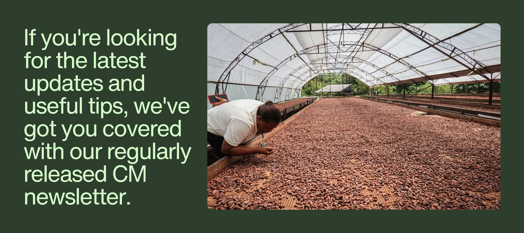 Cocoa Powder Alkalized, Cocoa Powder Indonesia, Premium Cocoa Powder alkalized, Cocoa Powder export