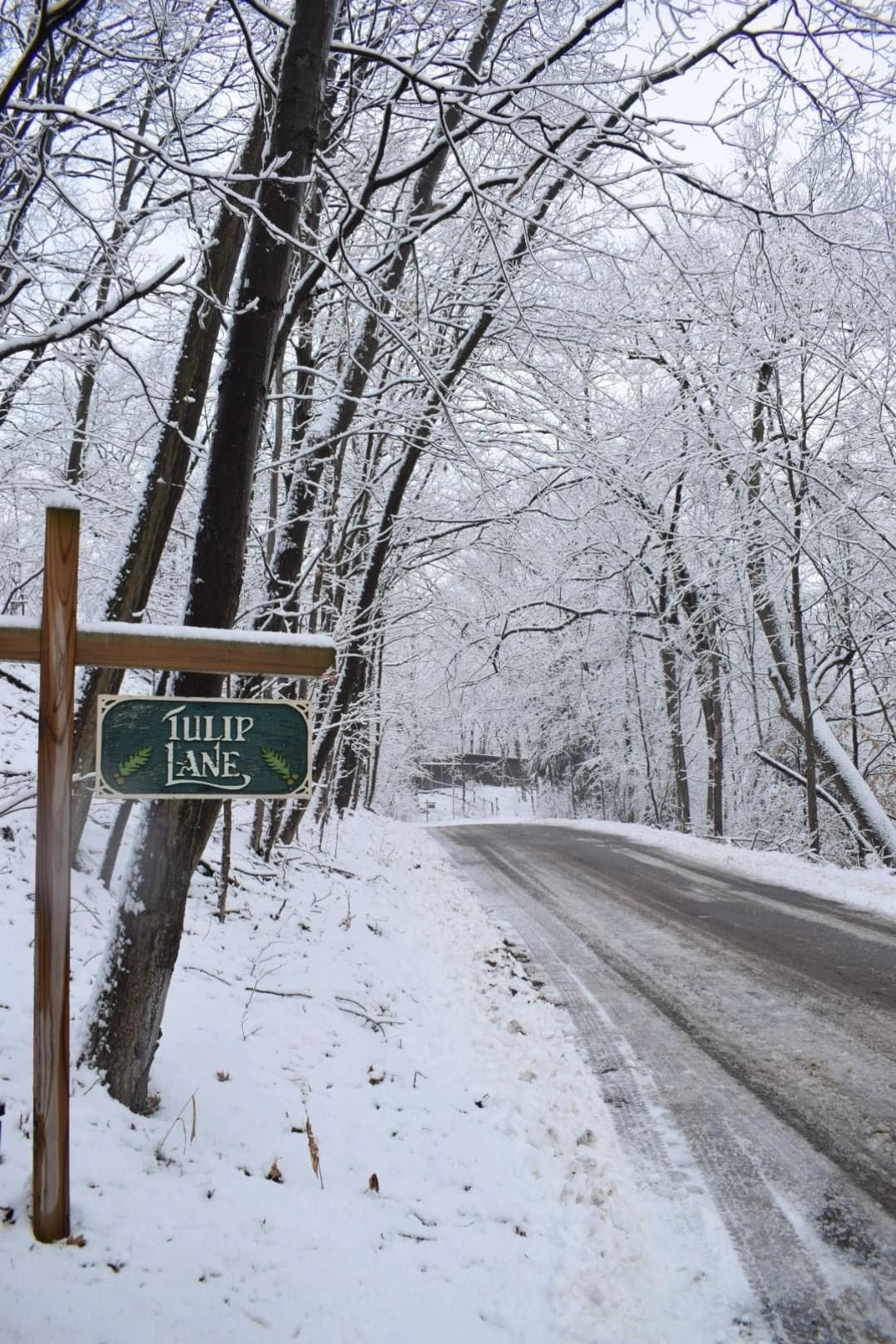 Dunewood MI Private Homeowner's Association, Lakeside Community