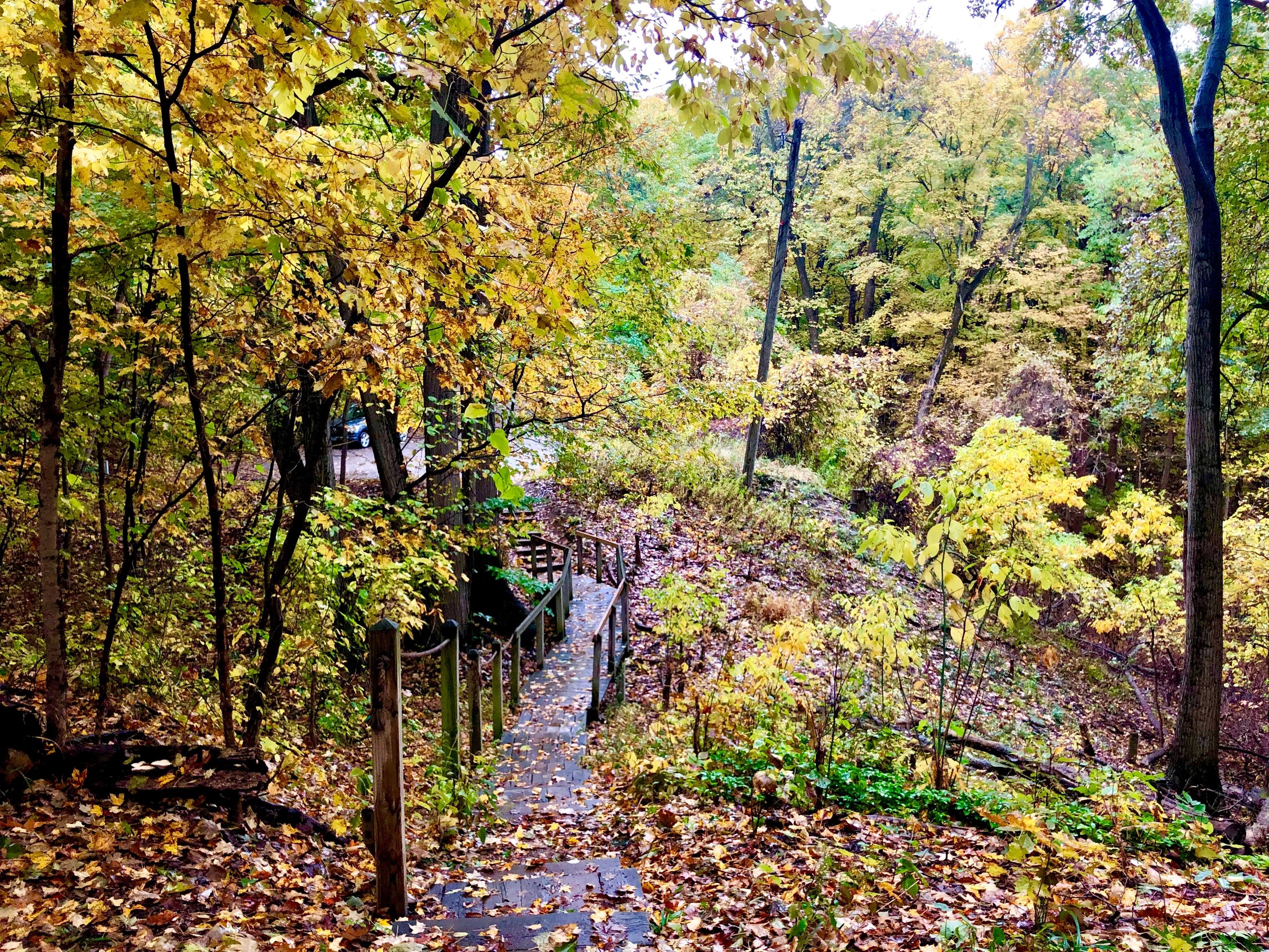 Dunewood MI Private Homeowner's Association, Lakeside Community