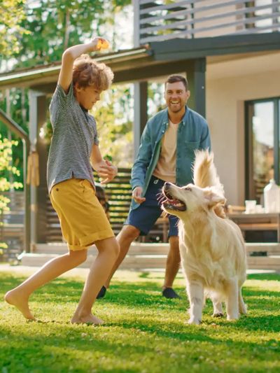 A boy and man playing fetch with a golden retriever in a sunny backyard.