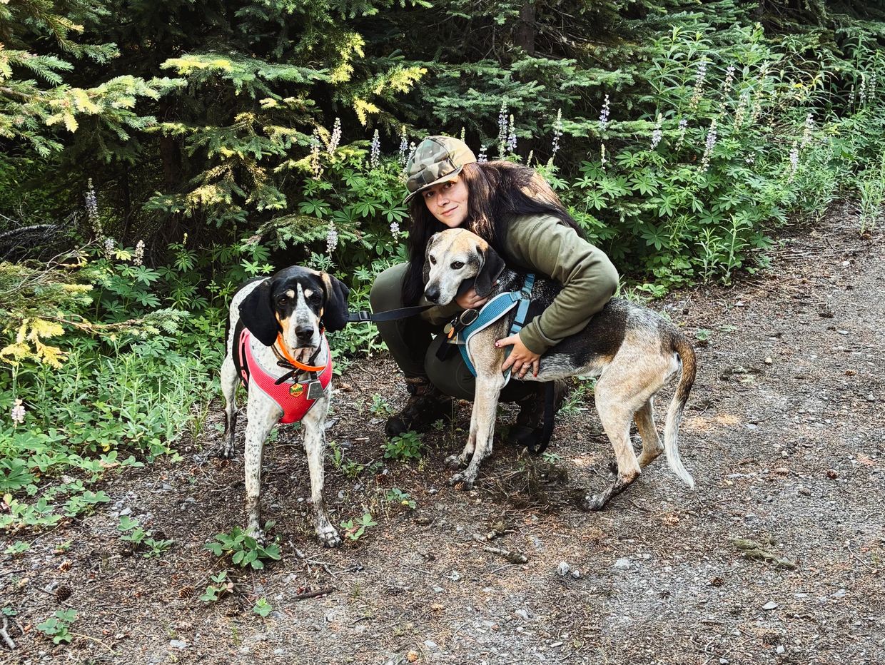 Person outside with two dogs on a trail.