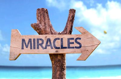 Wooden sign pointing to miracles against a tropical beach backdrop.