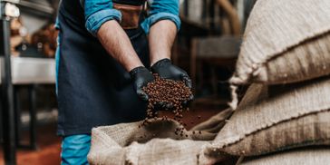 Roasted coffee in a burlap sack.