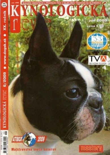 Close-up of a Boston Terrier on dog magazine cover.