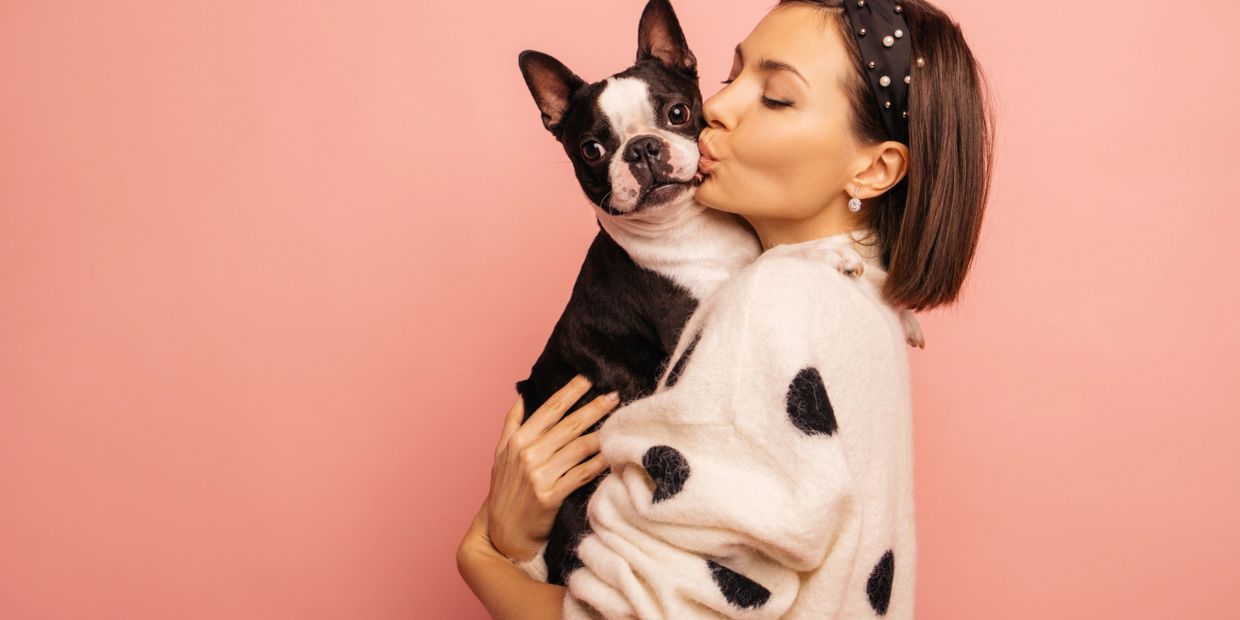 A woman kisses her Boston Terrier dog against a pink background.