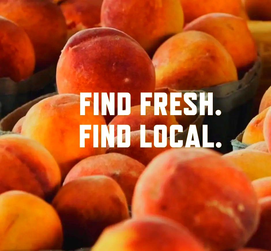 Northwest Guilford Farmers Market Vegetables, Fresh Farm Vegetables