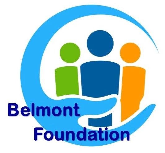 Belmont University visual data 3